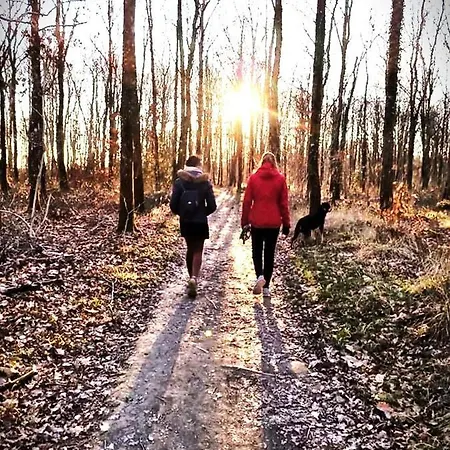 Mouliere Evasion * Montamise