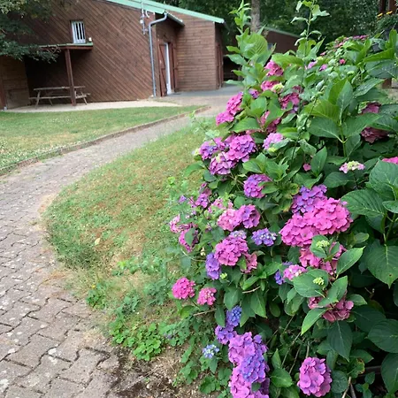 Moulière Evasion Chalet Montamisé