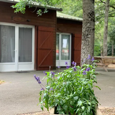 Moulière Evasion Chalet